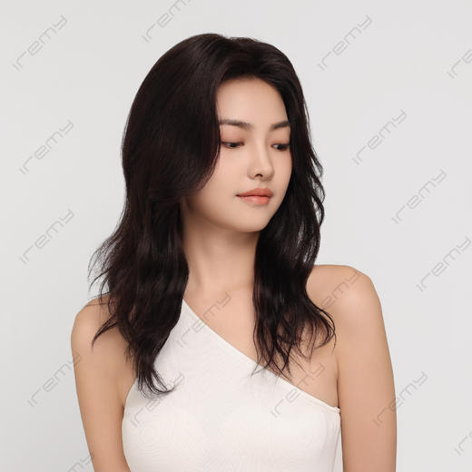 RPH-L23025HQ 商品图2