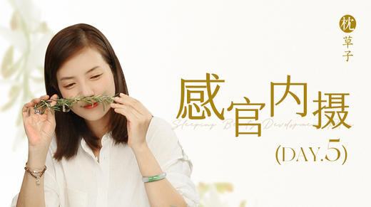 第五天：感官内摄part2 商品图0