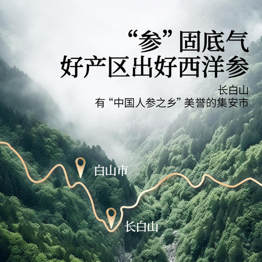 【正宗同仁堂品牌】北京同仁堂 青源堂 传统滋补 西洋参-0号圆片1.8-2.5cm 200克 SY 商品图3