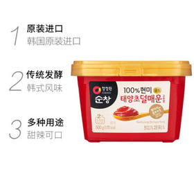 清净园韩国进口 淳昌辣椒酱 微辣韩式石锅拌饭酱部队火锅辣炒年糕酱500g /粮油调味 /调味品 /西式酱料