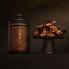 2024陈皮系列(岁月鎏金-东甲2010)生铁罐礼盒装 80g 商品缩略图3