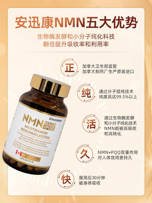 Ensonkan安迅康NMN 15000+PQQ  β-烟酰胺单核苷酸 1瓶装 商品图4