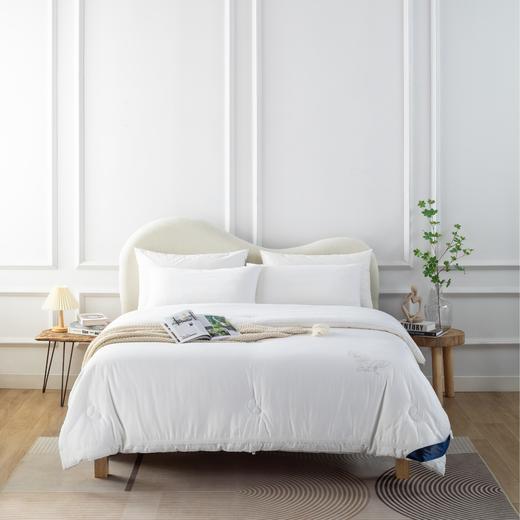 【远梦】蚕蛹蛋白养护冬被 商品图0