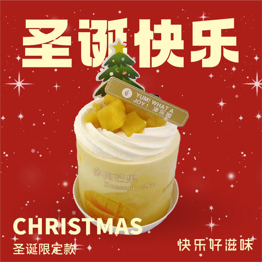 圣诞金芒蜜语 商品图0