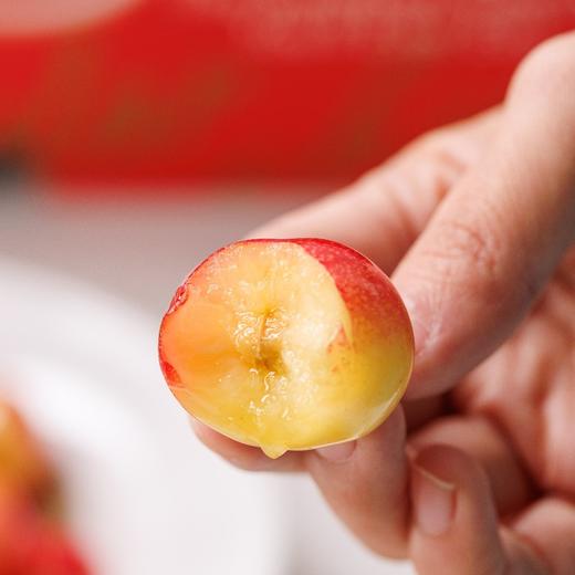 智利空运 skylar rae 天空之城    金车 商品图2