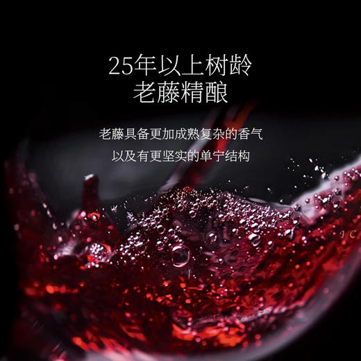 西鸽N50干红葡萄酒 （熊猫定制款） 商品图3