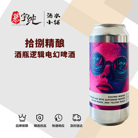 拾捌精酿-酒瓶逻辑电幻啤酒