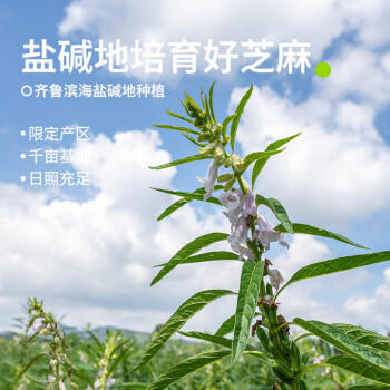 田喜粮鲜有机熟白芝麻 产自滨海盐碱地 杂粮炒货粗粮即食干吃烧烤烘焙260g /粮油调味 /杂粮 /谷米类 商品图5