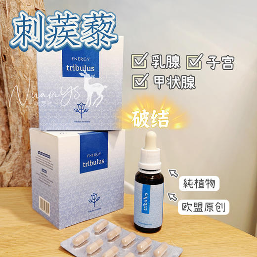 【植物精华 破淤堵 】刺蒺藜内壮能源 30ml/刺蒺藜胶囊款 90粒 捷克安能聚 商品图1