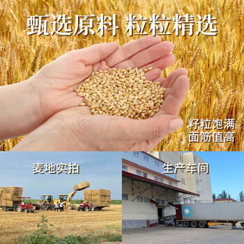 格琳诺尔全麦粉5斤 小麦粉含麦麸皮 烘焙原料家用面粉 可做全麦面包 /粮油调味 /面粉 /专用粉 商品图5