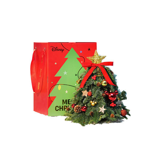 VBEINGS花语 圣诞礼物迪士尼进口诺贝松圣诞树鲜活松枝家居摆件 商品图0