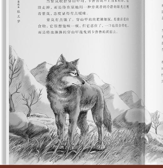 狼王梦（5册） 商品图4
