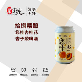 拾捌精酿-您桂杏桂花杏子酸啤酒