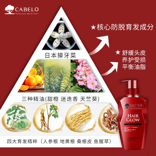 卡蓓诺防脱育发洗发水350ml 商品图4