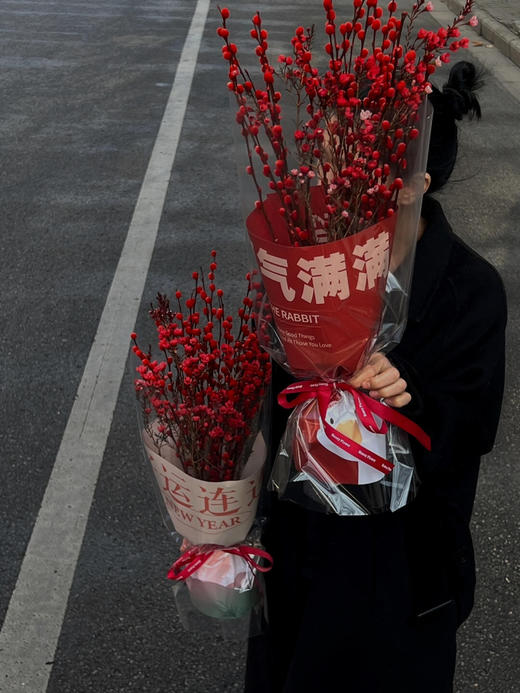 【恭喜发财】AB级红色腊梅3-4支+AB级红色银柳20支.长约60-70cm（无包装）（年后发货） 商品图2