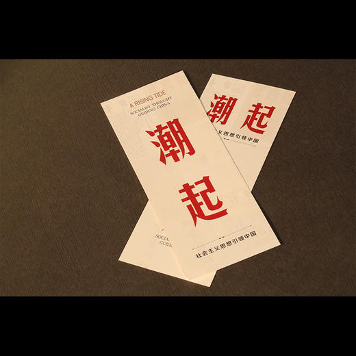 潮起：社会主义思想引领中国 商品图5