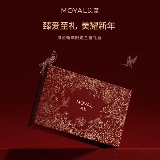 岚至 雾光精华仪 MW601 商品图2