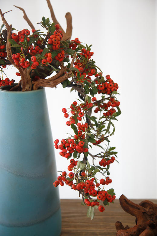 满堂红 商品图1