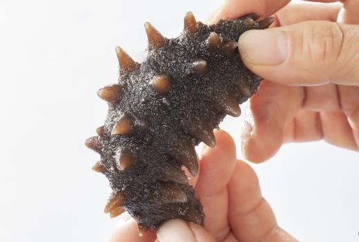 【双有机认证】大连自家海域上等即食海参，是用来做高档淡干海参的原料，全程无添加工艺结合低温熟化方式，4年自然生长周期，品质难得，肉质紧实，囗感弹中透滑糯，无异味，性价比极高，辽宁省内包邮 商品图0