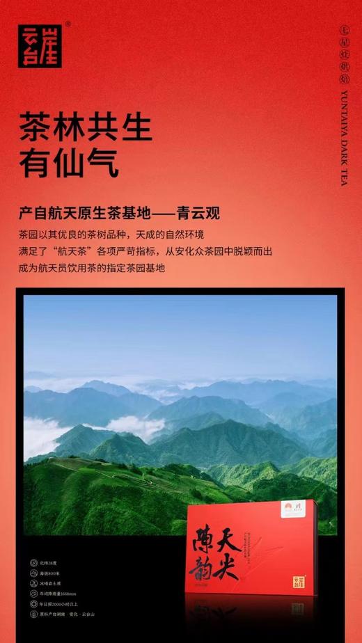 云台崖陈韵天尖（224克） 商品图3