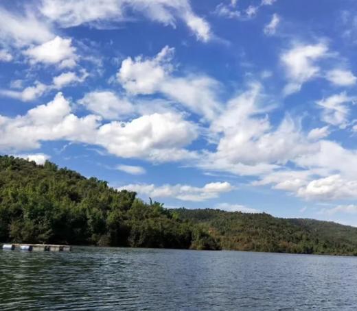 云南水库有机鱼丸/手工鱼丸500g/袋*2 无弹力素/鱼肉含量95%以上/爽滑细腻嫩滑鲜香 商品图3