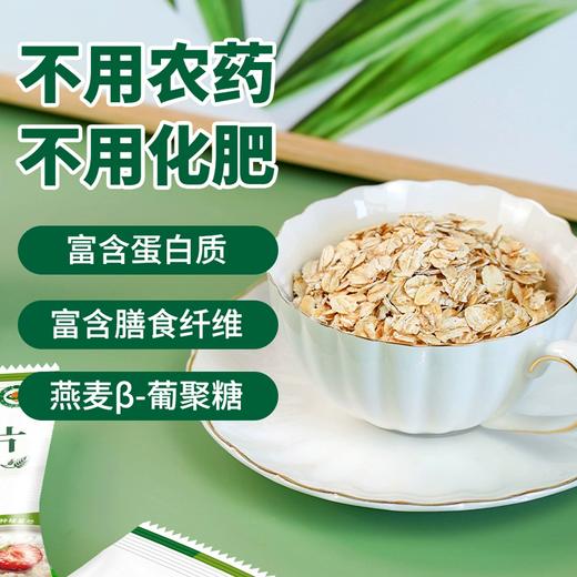 420g第三主粮有机燕麦片 即食营养早餐冲泡免煮老人饱腹代餐 商品图1