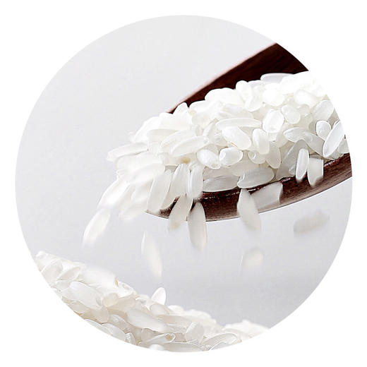 【米香中国】米妹妹 精选优质一等五常稻花香大米 官方认证真空包装 商品图2