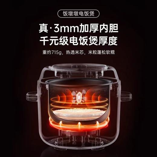 善思电饭煲家用3L升3-4-6人多功能小型电饭锅煮饭2023新款电饭煲 商品图3