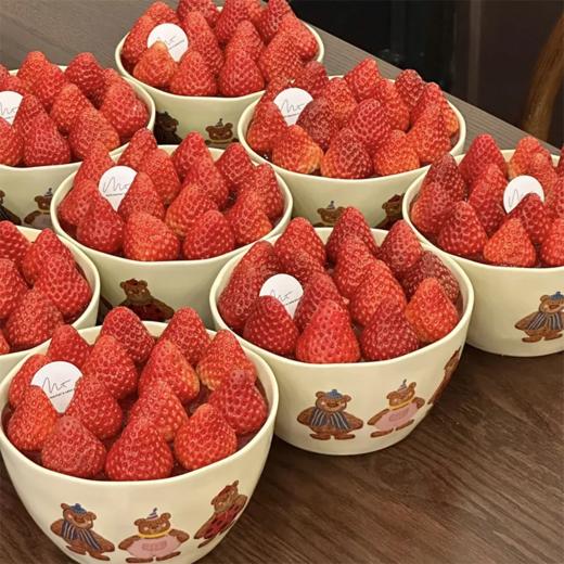 小熊草莓碗 商品图0