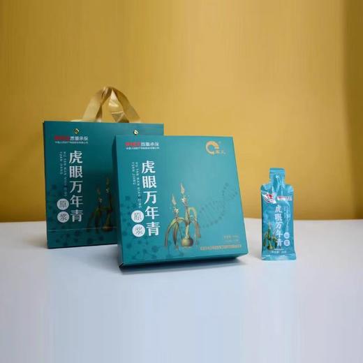 丰义虎眼万年青原浆 独立包装 300g（20g/袋*15袋） 商品图4