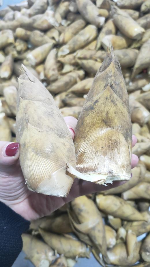 临安冬笋 商品图9