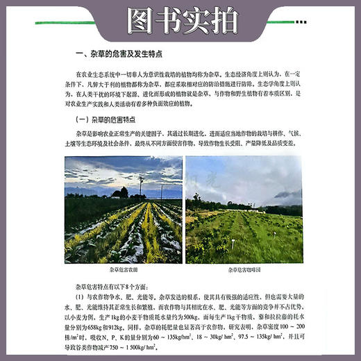 咖啡园杂草鉴别与绿色防除图鉴【官方正版，可开发票，下单时留开票信息和电子邮箱】 商品图4
