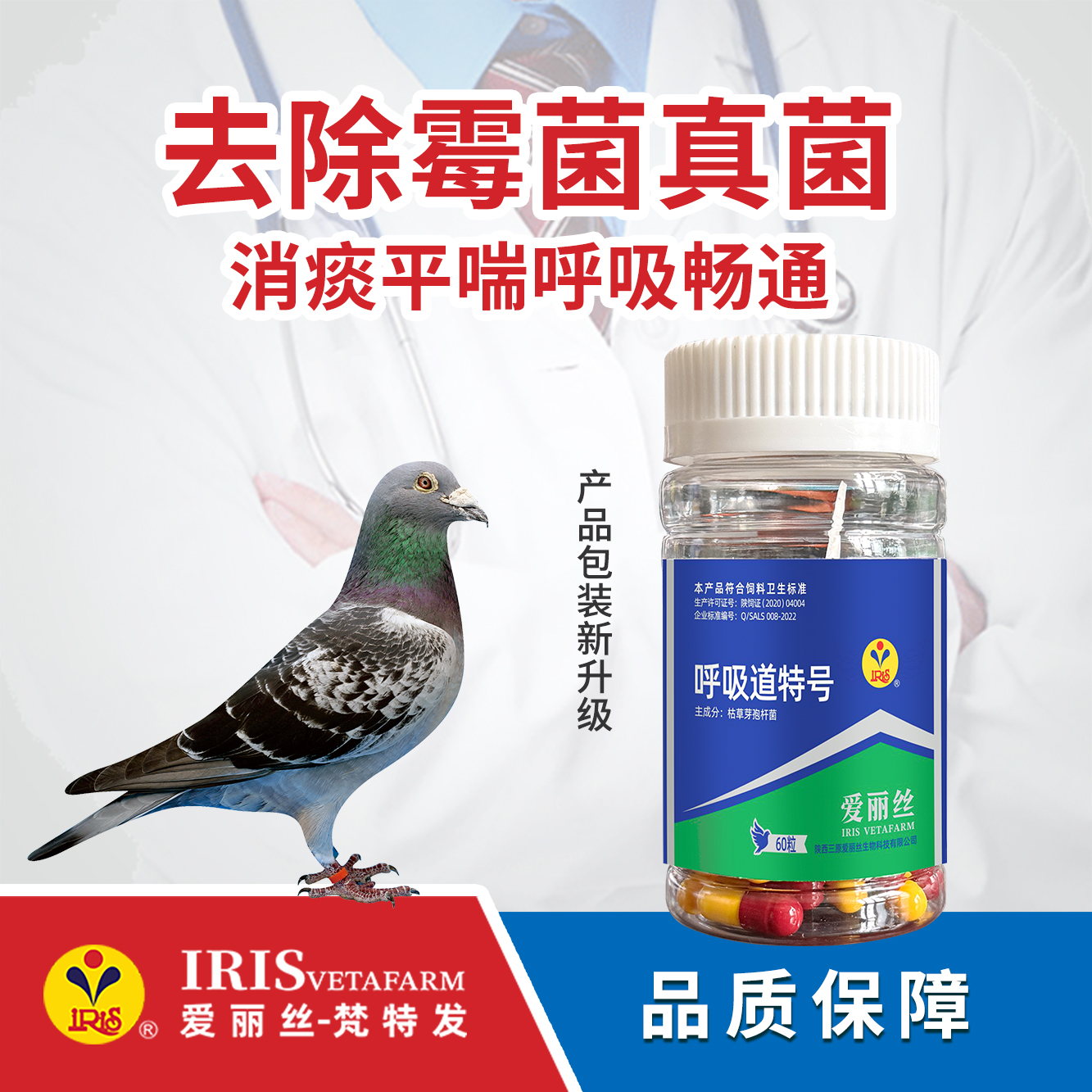 呼吸道特号（胶囊）