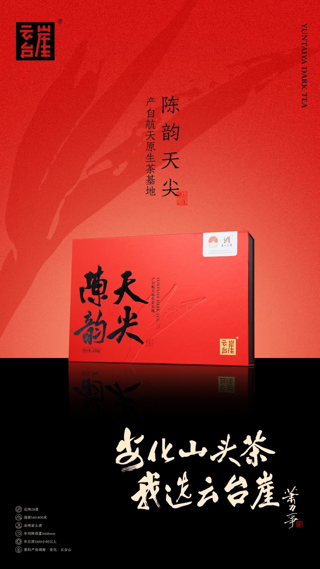 云台崖陈韵天尖（224克）