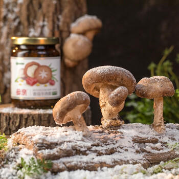 母亲香菇精致牛肉酱原味 210g  下饭酱夹馍拌面拌饭酱 佐餐调味辣椒酱 /粮油调味 /调味品 /中式酱料 商品图4