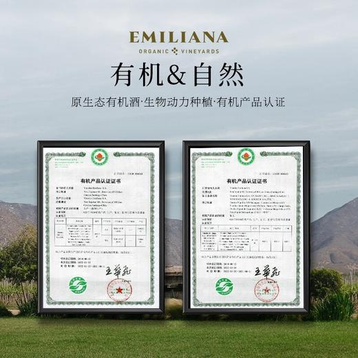 肆玖智利圆满珍藏赤霞珠干红葡萄酒750ml*2+皮盒【LXGWCJ2.0】 商品图2