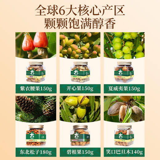 【新年礼盒】大颗粒您大发财坚果礼盒920g（含礼袋）高端礼品甄选新货 商品图2