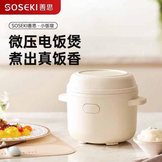 善思电饭煲家用3L升3-4-6人多功能小型电饭锅煮饭2023新款电饭煲 商品图0
