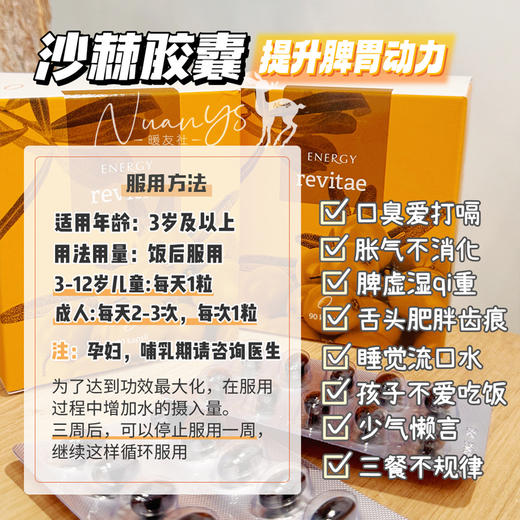 【化食不好 胃口不好 精神不振 压力大】沙棘胶囊90粒 捷克 Energy安能聚 商品图4