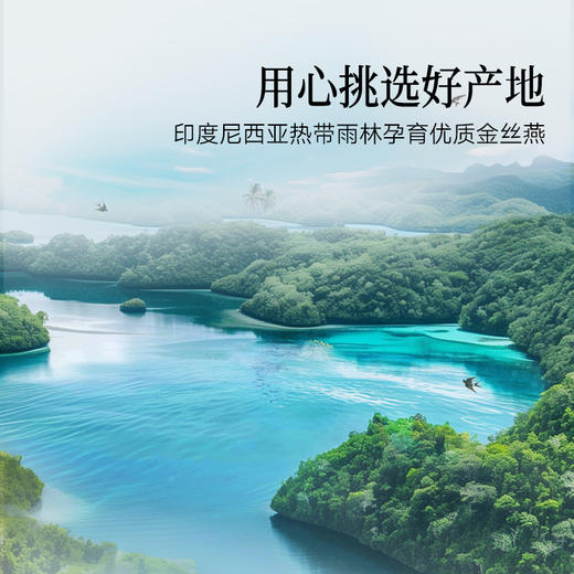 【正宗同仁堂品牌】北京同仁堂 造养青年 传统滋补 食用燕窝-白燕盏银标100克 印尼进口燕窝干盏溯源干燕盏 送长辈 孝敬父母 孕妇滋补礼品 SY 商品图4