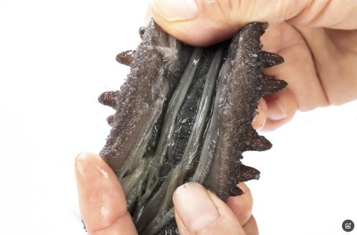 【双有机认证】大连自家海域上等即食海参，是用来做高档淡干海参的原料，全程无添加工艺结合低温熟化方式，4年自然生长周期，品质难得，肉质紧实，囗感弹中透滑糯，无异味，性价比极高，辽宁省内包邮 商品图2