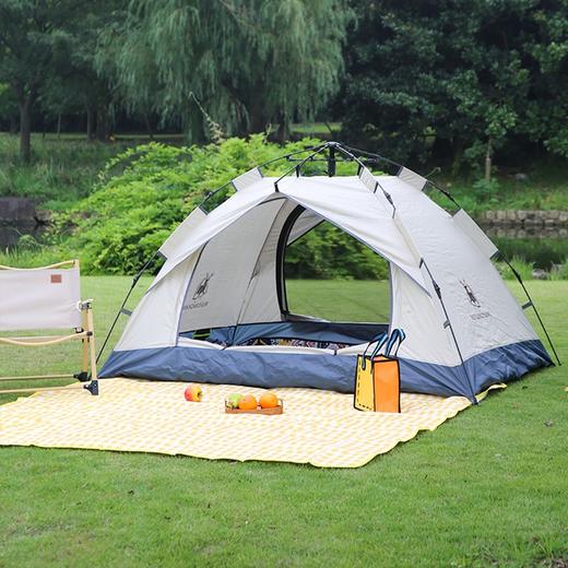 徽羚羊 云雾 帐篷流沙金 商品图2