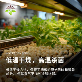 饮食派INSPIRATION SPICE白胡椒粉 260g罐装 烧烤煲汤胡辣汤煎牛排香辛调味料山姆定制款 /粮油调味 /调味品 /基础香辛料 商品图0