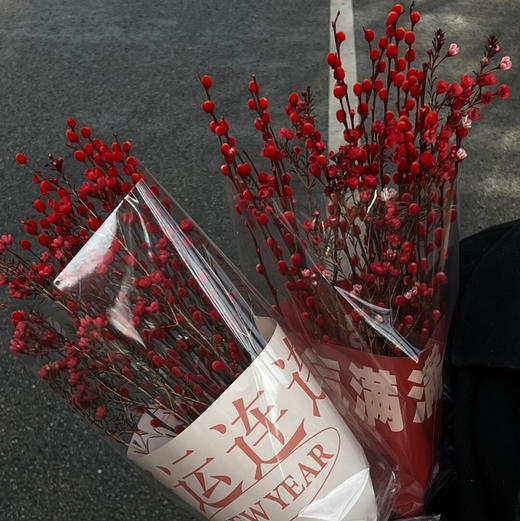 【恭喜发财】AB级红色腊梅3-4支+AB级红色银柳20支.长约60-70cm（无包装）（年后发货） 商品图0