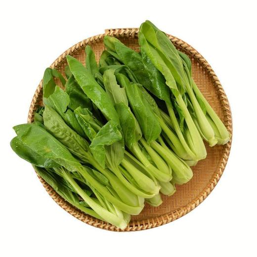放心鸡毛菜 约200g/袋 安全安心可追溯 伊藤自有品牌 商品图3