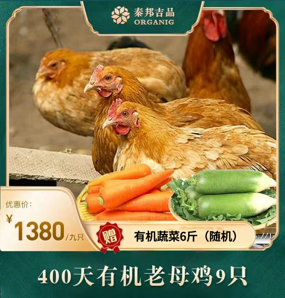 一九一只鸡秦邦吉品400天有机老母鸡