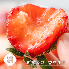 辽宁丹东  红颜九九草莓  多规格任选