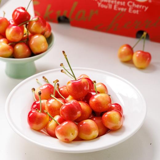 智利空运 skylar rae 天空之城    金车 商品图3