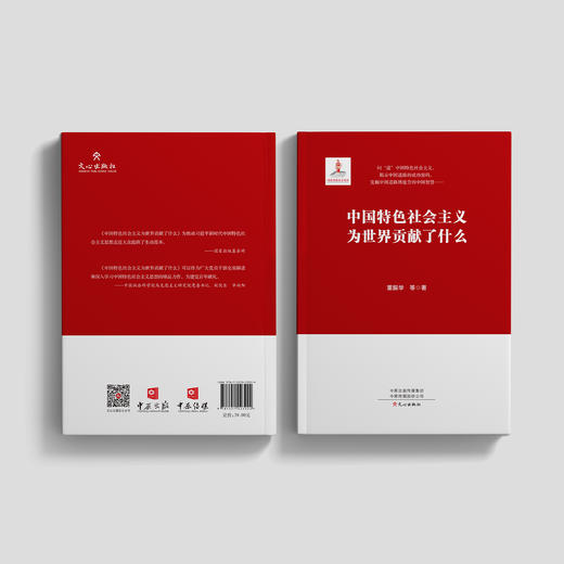 《中国特色社会主义为世界贡献了什么》 商品图14