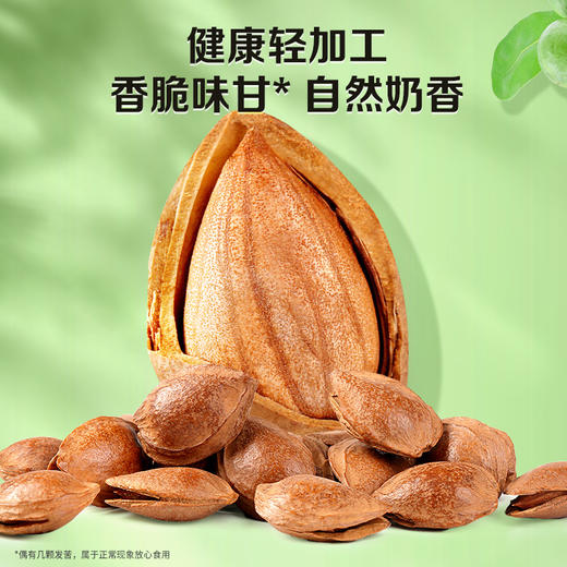 罐装小白杏核500g（奶油味） 商品图2